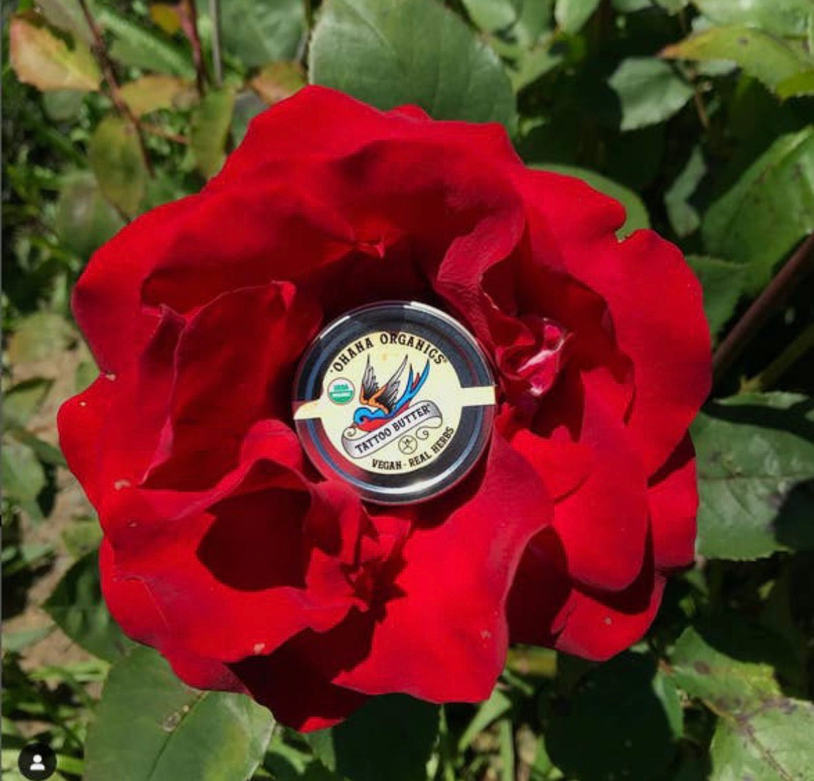 Organic Tattoo Butter-Aftercare 0.5 oz